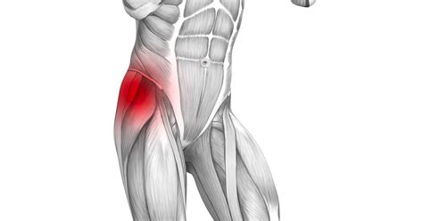 Muscle Strain Injuries Of The Thigh Nashville Tn Orthopedic Surgery