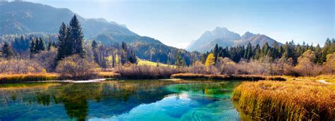 El encuentro forma parte de los partidos de: Slovenia Wildlife Tours & Holidays for 2021/22 - Blue Sky ...