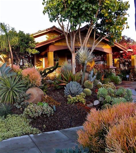 Drought Resistant Landscapes For The Sacramento Area Roseville Real