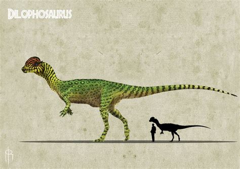 Dilophosaurus Color Experiment 1 By Jelsin On Deviantart