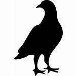 Bird Pigeon Icon Shape Animal Silhouette Icons