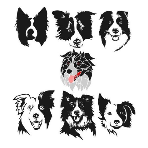 Related Image Border Collie Art Dog Drawing Dog Tattoos