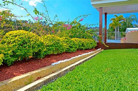Check spelling or type a new query. Uluru Red Cypress Mulch (With images) | Cypress mulch ...