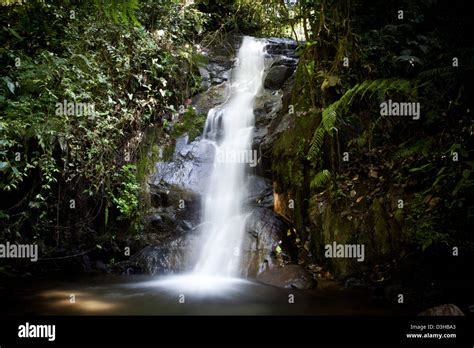 Beautiful Waterfall In The Amazon Rain Forest Ecuador Stock Photo Alamy
