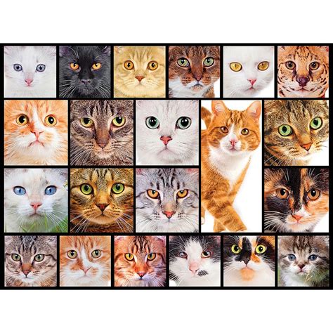 Buy Cats 300 Large Piece Collage Jigsaw Puzzle