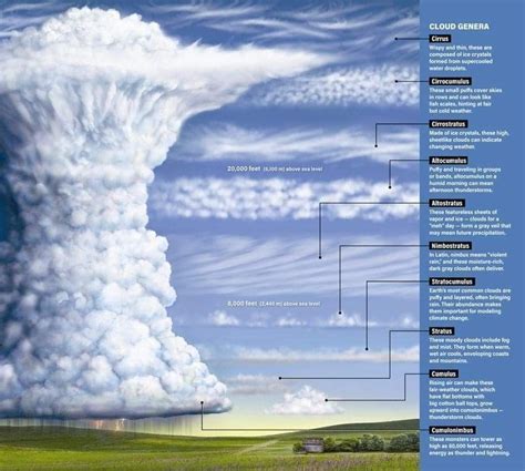Types Of Clouds Clouds Weather And Climate Weather Storm
