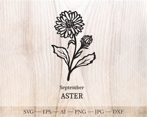 Aster SVG. September Birth Flower SVG. Birth Month Flower | Etsy