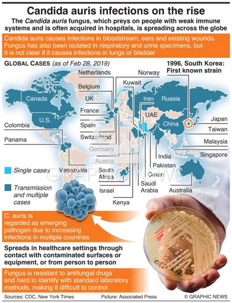 Health Candida Auris Infections On The Rise 1 Infographic
