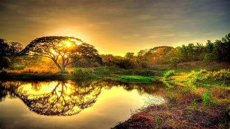 Sunset Pond Trees Landscape 3840×2160 Gogambar