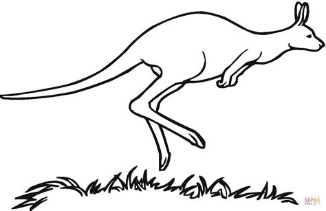Coloriage Kangourou d Australie Coloriages à imprimer gratuits