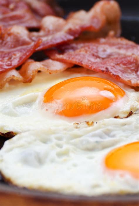 Fried Eggs With Bacon Stock Image Image Of Eggs Bacon 23330511