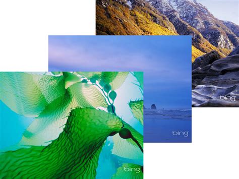 50 Bing Dynamic Wallpaper Windows 8 On Wallpapersafari