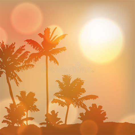 Sea Sunset With Island And Palm Trees Stock Vector Illustration Of