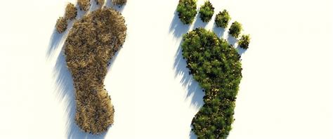 Ecological Footprint What Is It And How To Calculate It Ecobnb
