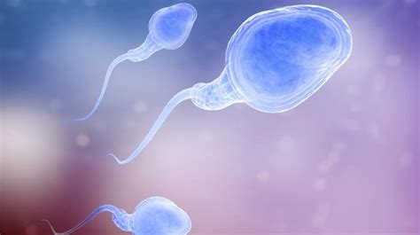 researchers invent sperm on off switch for better birth control