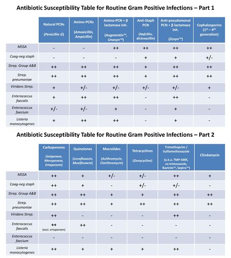 Penicillin Antibiotic Chart