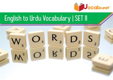 English To Urdu Vocabulary Set 11 Common English Words
