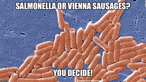 Vienna Sausages Memes And S Imgflip