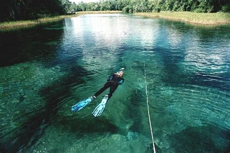 Snorkel Or Dive The Amazing Rainbow River Florida Provided By American