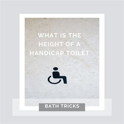 What Is The Height Of A Handicap Toilet Things To Understand