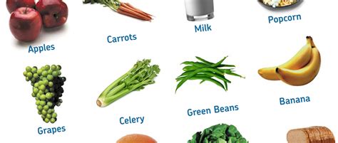 It is also important to include enough protein in any diet. Healthy Food List Printable | Diet Plan