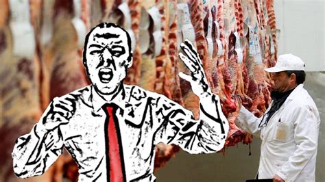 Today hank begins to teach you about philosophy by discussing the historical origins of philosophy in ancient greece, and its three main divisions. Article Refutation: "Someone Explained Why Veganism Is Not ...