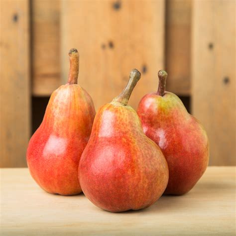 Organic Pear Red Anjou 907g No1 Fresh And Organic Supermarket In