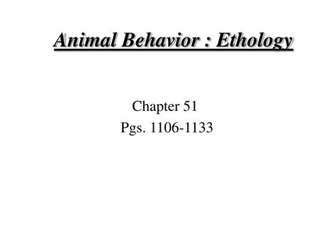 Ppt Animal Behavior Ethology Powerpoint Presentation Free Download
