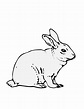Free Printable Rabbit Coloring Pages For Kids | Bunny coloring pages ...