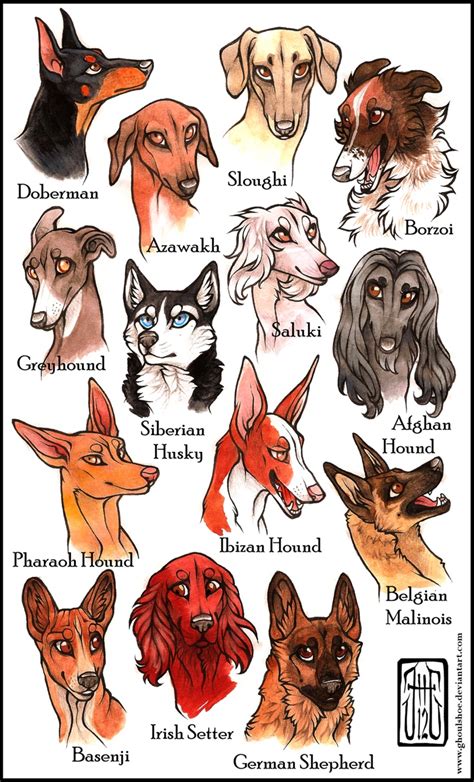The shethund is cross between two purebred dogs, the shetland sheepdog and the dachshund. Doggies | Dog breed art, Dog design art, Canine art