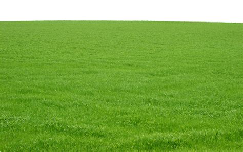 Grass Field Png Png Image Collection
