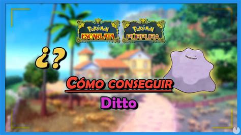 Conseguir Un Ditto En Pokemon Go Guía Paso A Paso Doncomo ️