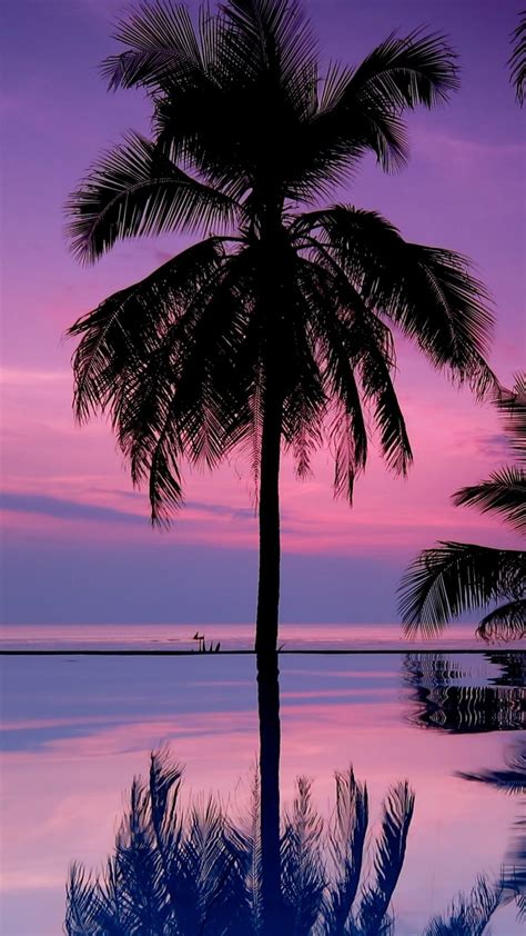 Palm Trees Night Silhouettes Palm Trees Wallpaper Sunset Wallpaper