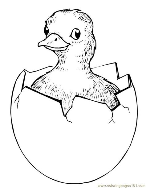 Easter Chick Hatching Coloring Page For Kids Free Easter