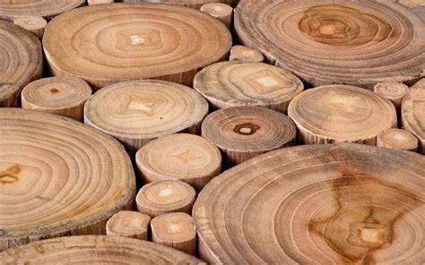 Teak Wood Furniture Pros Cons And Maintenance Zameen Blog