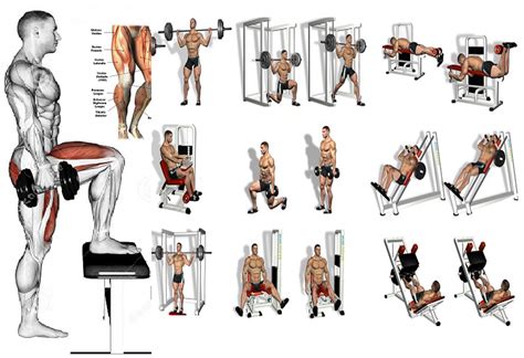 Indeed, the calories a novice lifter burns during and after a workout will be. 5 Leg Workouts - A Beginner's Guide! | Fitness Workouts ...