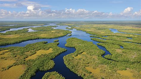 Florida To Purchase 20000 Acres Of Everglades Wetlands To Protect From