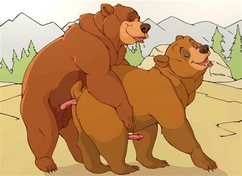Rule 34 Anal Balls Bear Brother Bear Chubby Disney Drooling Erection