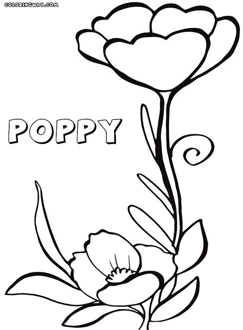 Poppy Colouring Pages