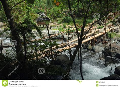 Bamboo Bridge In Jungle Stock Image Image Of Footbridge 57083615