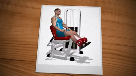 10 Meilleurs Exercices De Musculation Pour Se Muscler Les Jambes Youtube