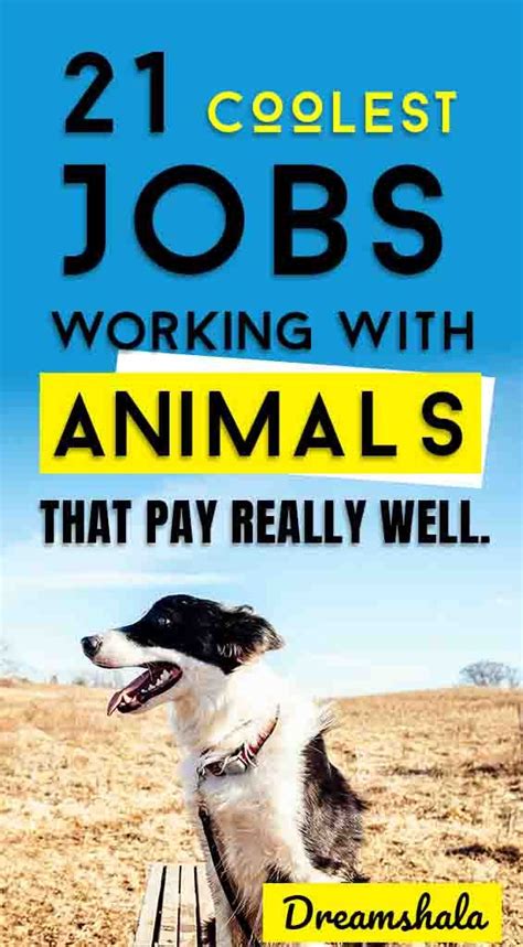 21 Coolest Jobs Working With Animals Jobs List For 2021 Work With