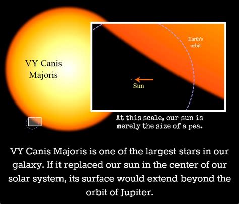 Stellar Heavyweights Vy Canis Majoris