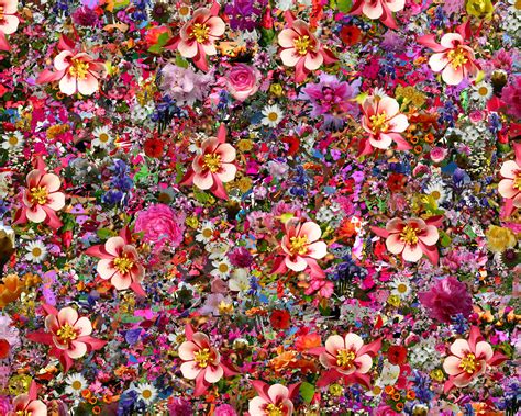 Flower Collage Wallpapers Wallpaper Cave