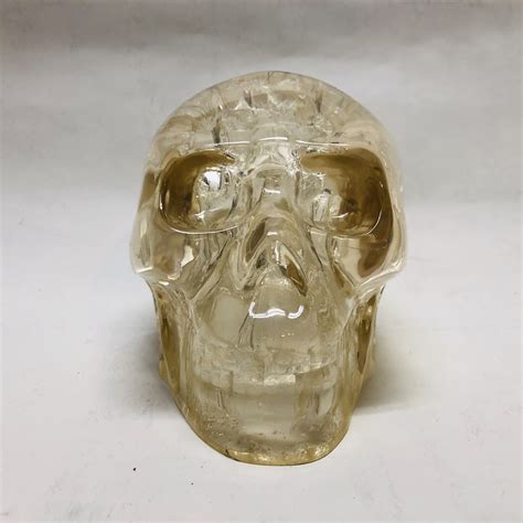 Decorative Acrylic Skull
