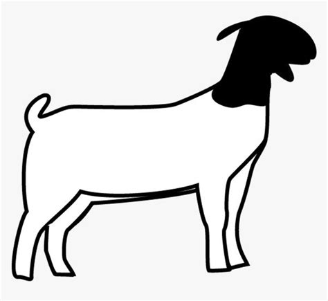 43 Best Ideas For Coloring Boer Goat Coloring Pages