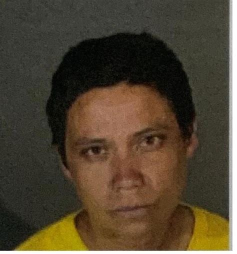 Woman Arrested In Connection With Reseda Arson Fires