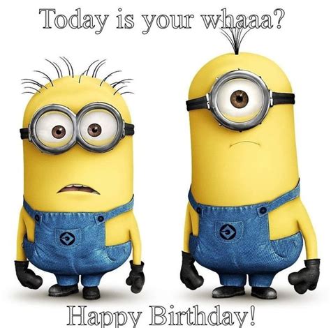 600 x 600 jpeg 30 кб. 42 Most Happy Funny Birthday Pictures & Images