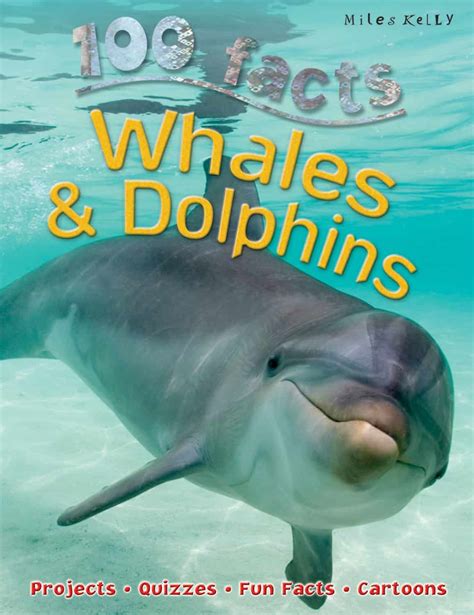100 Facts Whales And Dolphins Young Scientists Reader Singapore