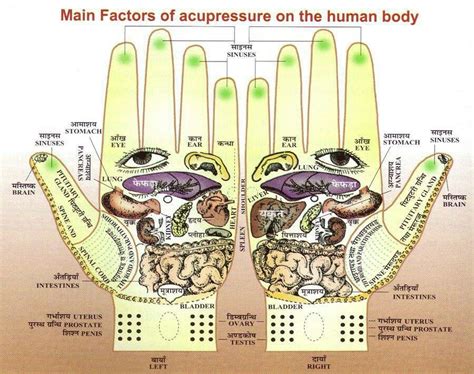 Acupressure Reflexology Hand Chart Reflexology Points Acupressure